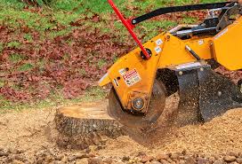 Best Lot and Land Clearing  in Ferris, TX