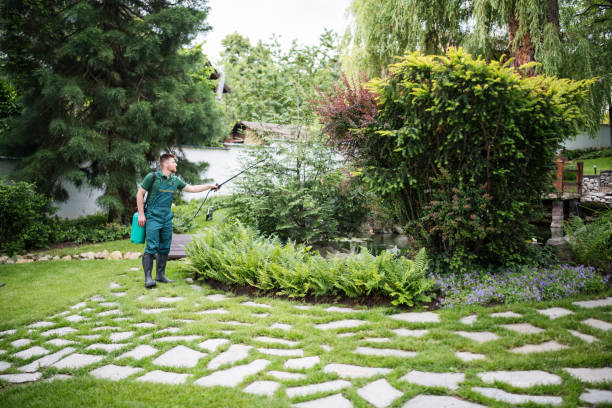 Best Organic Lawn Care Solutions  in Ferris, TX
