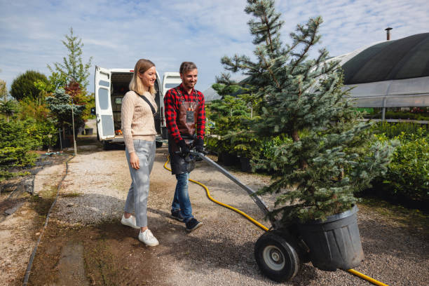 Best Commercial Tree Services  in Ferris, TX